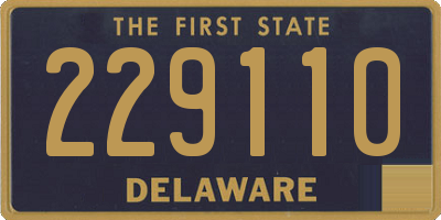 DE license plate 229110