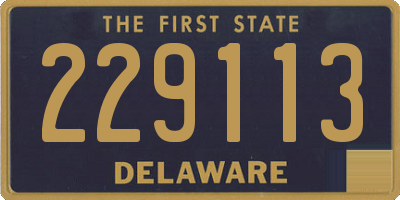 DE license plate 229113