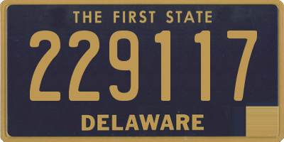 DE license plate 229117