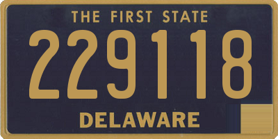 DE license plate 229118