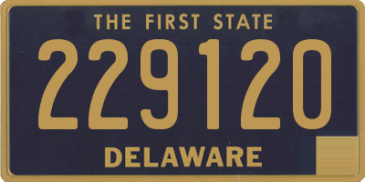 DE license plate 229120