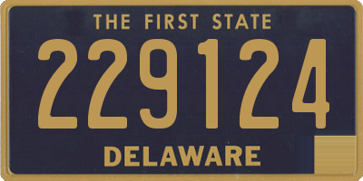 DE license plate 229124