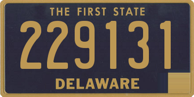 DE license plate 229131