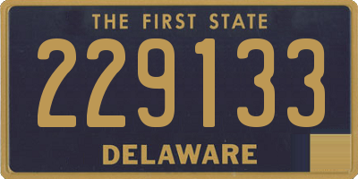 DE license plate 229133