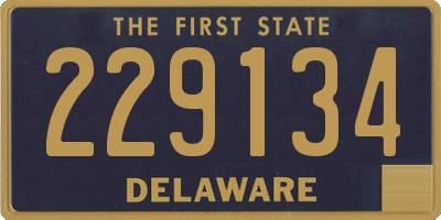 DE license plate 229134