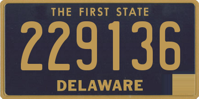 DE license plate 229136