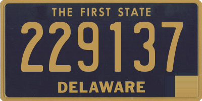 DE license plate 229137