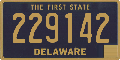 DE license plate 229142