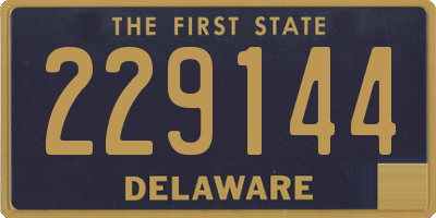 DE license plate 229144