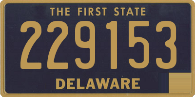 DE license plate 229153