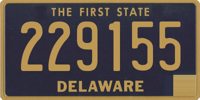 DE license plate 229155