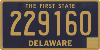 DE license plate 229160