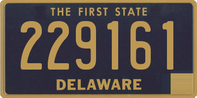 DE license plate 229161