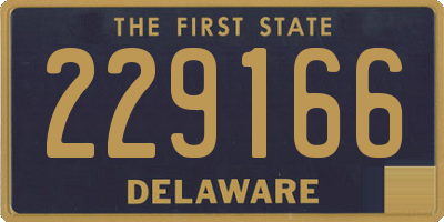 DE license plate 229166