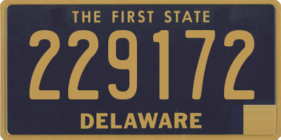 DE license plate 229172