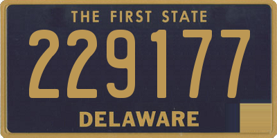 DE license plate 229177