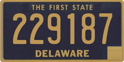 DE license plate 229187