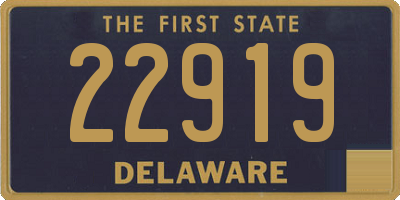 DE license plate 22919