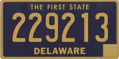 DE license plate 229213