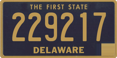 DE license plate 229217