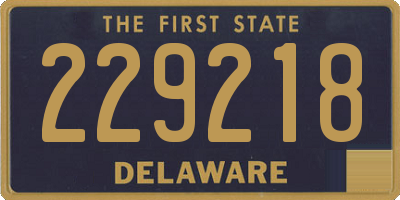 DE license plate 229218