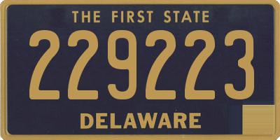 DE license plate 229223