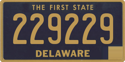 DE license plate 229229