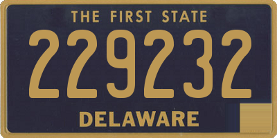 DE license plate 229232
