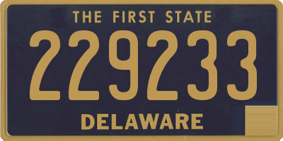 DE license plate 229233