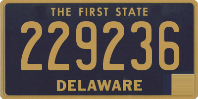 DE license plate 229236