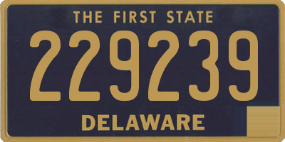 DE license plate 229239