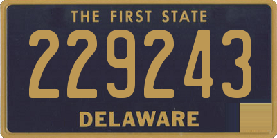 DE license plate 229243