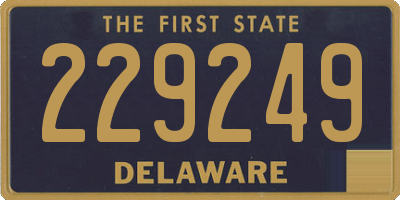 DE license plate 229249