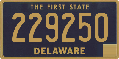 DE license plate 229250