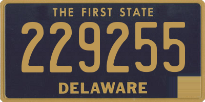 DE license plate 229255