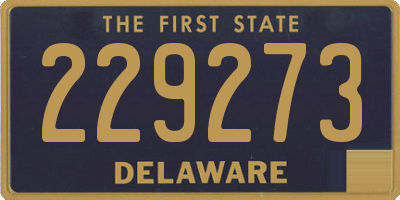 DE license plate 229273