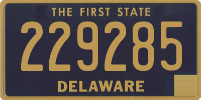 DE license plate 229285