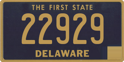 DE license plate 22929