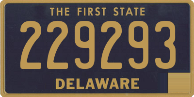 DE license plate 229293