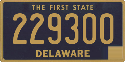 DE license plate 229300