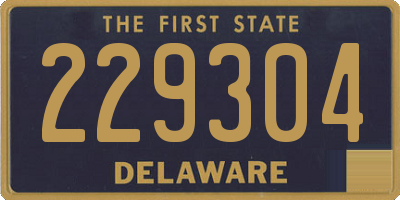 DE license plate 229304