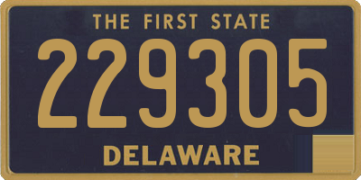 DE license plate 229305