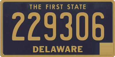 DE license plate 229306