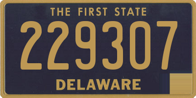 DE license plate 229307