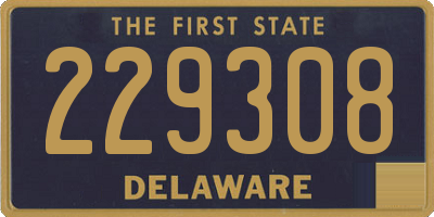 DE license plate 229308