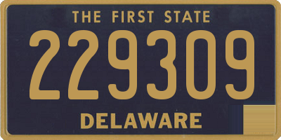 DE license plate 229309