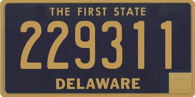 DE license plate 229311