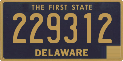 DE license plate 229312