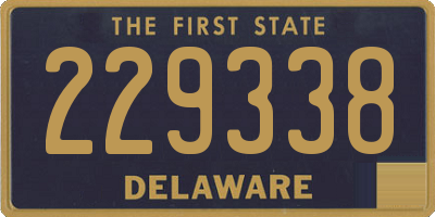 DE license plate 229338