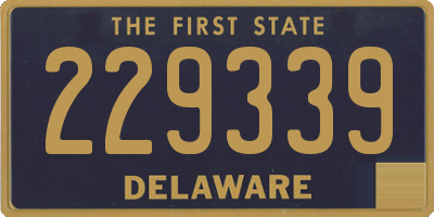 DE license plate 229339